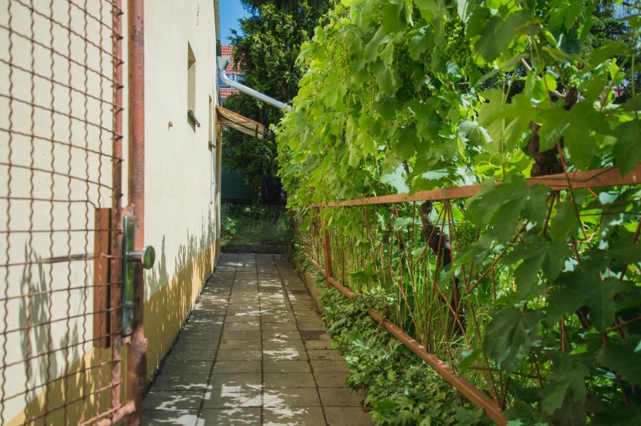 Ubytování Domeček v Mikulově Exteriér fotografie